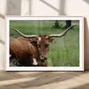 Longhorn Cow Animal Wall Art Canvas Print by MyGreatCanvas | Canvas Wall Art Prints | Photo Prints & Wall Decor