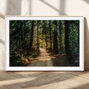 Sunlit Forest Pathway Canvas Print | 3 Panel Large Nature by MyGreatCanvas | Canvas Wall Art Prints | Photo Prints & Wall Decor