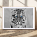 Tiger Canvas Artwork Wall Art Print