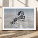 Prancing Horse Desert Large Wall Art Canvas Print – Majestic