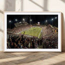 Washington-Grizzly Stadium Canvas Wall Art – Exciting Game