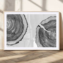 Abstract Large Tree Rings – Minimalist Black and White Wood