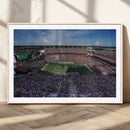 South Carolina Gamecocks Football Team Print - Columbia