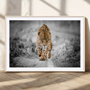 Jaguar Wall Art Canvas Print - Majestic Big Cat in Focused by MyGreatCanvas | Canvas Wall Art Prints | Photo Prints & Wall Decor