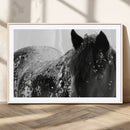 Black Horse in Snow Canvas Print | Winter Horse Wall Art |