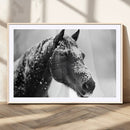Horse Canvas Print - Winter Horse Snow Wall Art Canvas Print