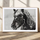 Framed Black and White Horse Wall Art | Ready to Hang and by MyGreatCanvas | Canvas Wall Art Prints | Photo Prints & Wall Decor