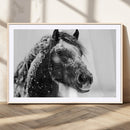 Winter Horse Canvas Print | Large 3-Panel Black White Equine