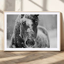 Black and White Horse Winter Wall Art | Ready to Hang and
