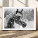 Black Horse Winter Wall Art | Ready to Hang and Framed |