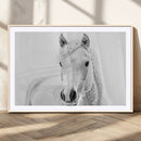 Majestic White Horse Wall Art | Ready to Hang and Framed |