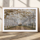 Forest Grove Wall Art | Serene Pathway Canvas Print | Ready