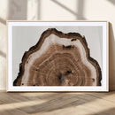 Rustic Wood Rings Wall Art | Nature-Inspired Tree Ring