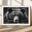 Resting Grizzly 399 Bear Canvas Print | Ready to Hang Wall