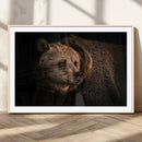 Wild Grizzly 399 Bear Canvas Wall Art Print, Bear Animal by MyGreatCanvas | Canvas Wall Art Prints | Photo Prints & Wall Decor