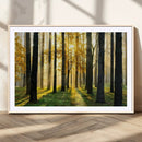 Sunlit Forest Wall Art Canvas Print – Large Framed Woodland