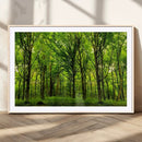 Lush Green Forest Canvas Print | 3-Panel Forest Wall Art |