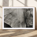 Elephant Wall Art Canvas Print