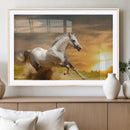 Large Wall Art Galloping White Horse at Sunset Canvas Print