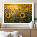 Sunflower Sunshine Wall Art Canvas Print by MyGreatCanvas | Canvas Wall Art Prints | Photo Prints & Wall Decor