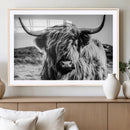 Black and White Scottish Cow Canvas Wall Art Highland Cattle