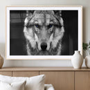 Black and White Wild Wolf Wall Art Canvas Print
