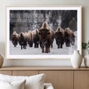 Bison Wall Art Canvas Print- Bison Herd Canvas Wall Art –