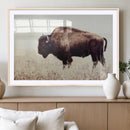 Bison in Field Wall Art Canvas Print For Farmhouse Barn