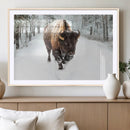 Bison Wall Art Canvas Print For Farmhouse, Animal Canvas