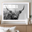 Black White Scottish Highland Cow Cattle Art Print Farmhouse