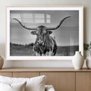 Texas Longhorn Cow Wall Art, Texas Longhorn Canvas, Cattle