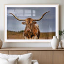 Texas Longhorn Wall Art Print, Framed Longhorn Cow Wall Art