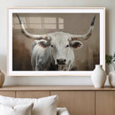 White Longhorn Bull Wall Art Canvas Print – Framed and Ready