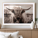 Scottish Cow Longhorn Wall Art Canvas Print