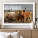 Highland Cow Canvas Wall Art Animal Print for Farm House