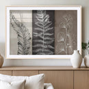 Minimalist Botanical Wall Art Canvas Print, Framed and Ready
