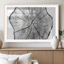 Rustic Tree Ring Wall Art Canvas Print – Framed and Ready to