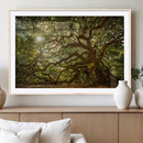 Ancient Angel Oak Tree Art Sunburst Canvas Print-
