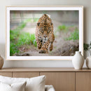 Leopard on the Prowl - Stunning Large Framed Leopard Wall
