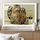Blue-Eyed Leopard Canvas Wall Art - Framed Animal Print