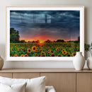 Golden Sunflower Field at Sunset – Breathtaking Sky and
