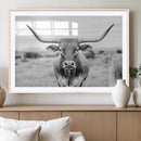 Highland Cow Wall Art Canvas Print – Black and White Western