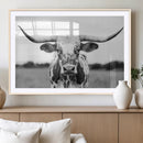 Highland Cow Wall Art Canvas Print – Black and White Western