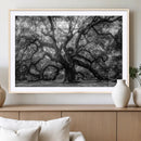 Black and White Old Angel Oak Tree Wall Art Canvas Print by MyGreatCanvas | Canvas Wall Art Prints | Photo Prints & Wall Decor