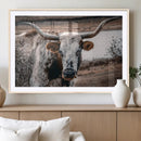 Texas Longhorn Wall Art Canvas Print – Framed Spotted Bull