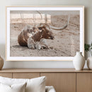 Texas Longhorn Wall Art Canvas Print – Framed Resting Bull by MyGreatCanvas | Canvas Wall Art Prints | Photo Prints & Wall Decor