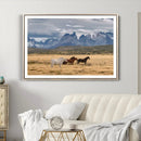 Grand Teton Park Wild Horses Wall Art Canvas Print – Framed