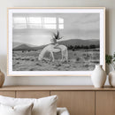White Horse Wall Art Canvas Print – Framed Woman Rider