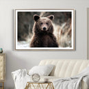 Brown Bear Wall Art Canvas Print – Framed Majestic Woodland
