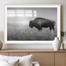 Bison in Prairie Wall Art Canvas Print – Framed Rustic by MyGreatCanvas | Canvas Wall Art Prints | Photo Prints & Wall Decor
